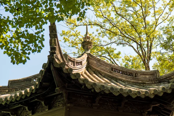 随手拍