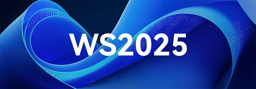 WindowsServer2025官方正式版24年11月版